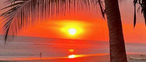 Plage, chaises longues, serviettes de plage