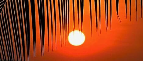 On the beach, sun loungers, beach towels