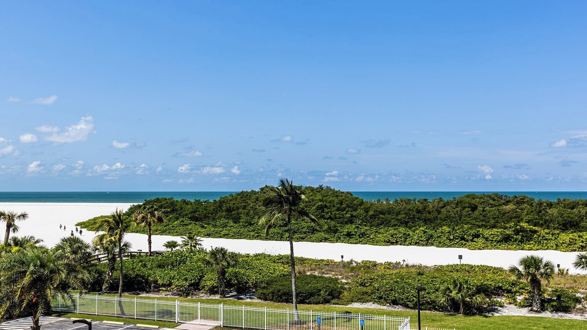 A beach view with a white fence, palm trees, and a clear blue sky.