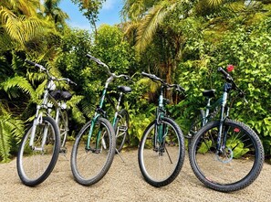 Property grounds - Mangrove Oasis Private Tropical Retreat (Hollywood)