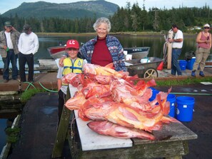 Property grounds -  Two Secluded Seaside Suites full kitchens on quiet back bay in Southeast Alaska (Klawock)