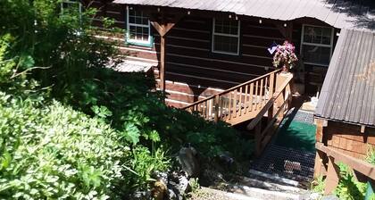 Two Secluded Seaside Suites on a quiet back bay in Southeast Alaska