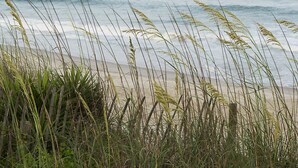 A beach with tall grasses and a wooden fence. - New! Intracoastal Cottage with Dock! (Surf City)