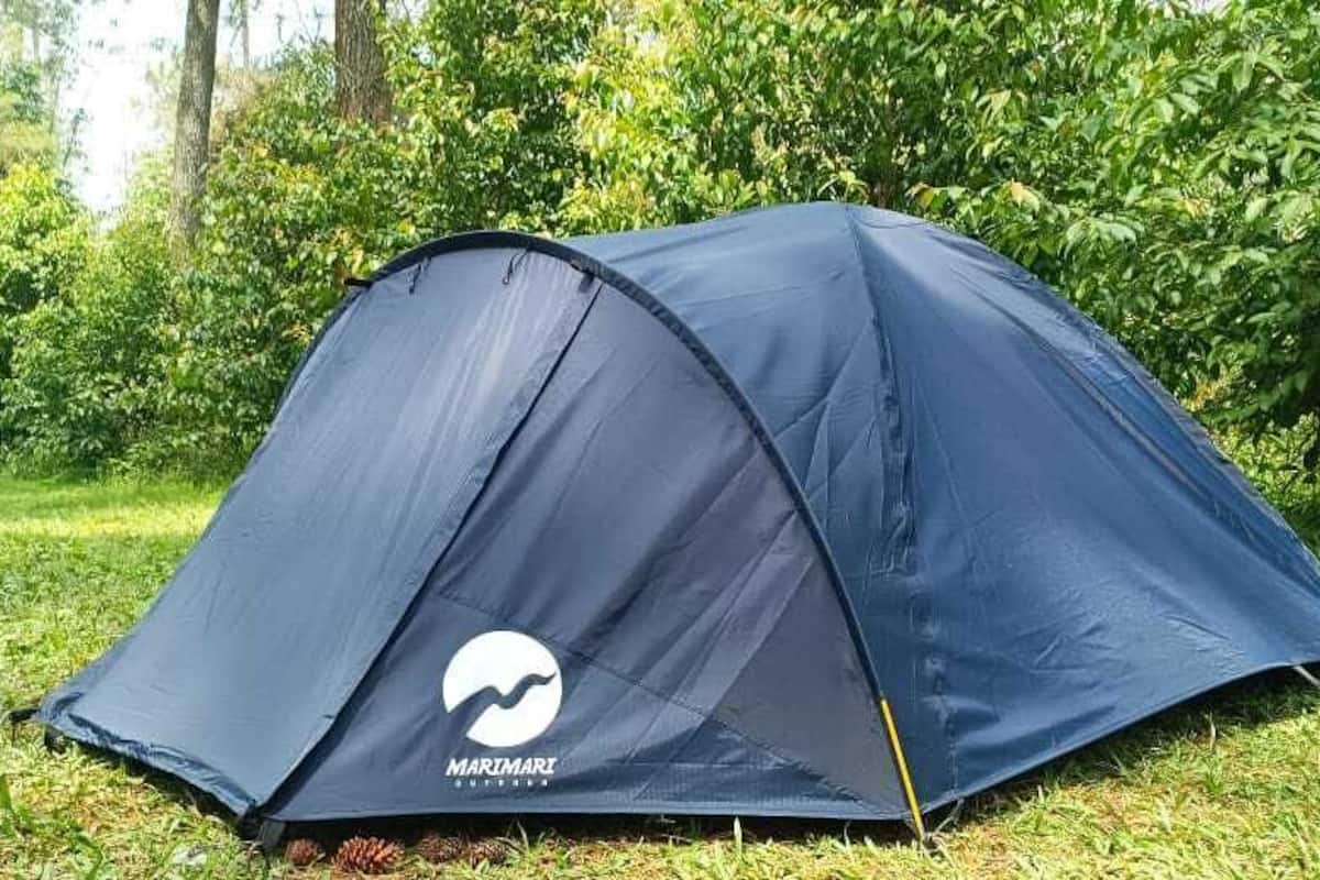 1 habitación y ropa de cama