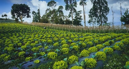 Snow Princess Mountain Glamping Resort at Clubbali, Lembang