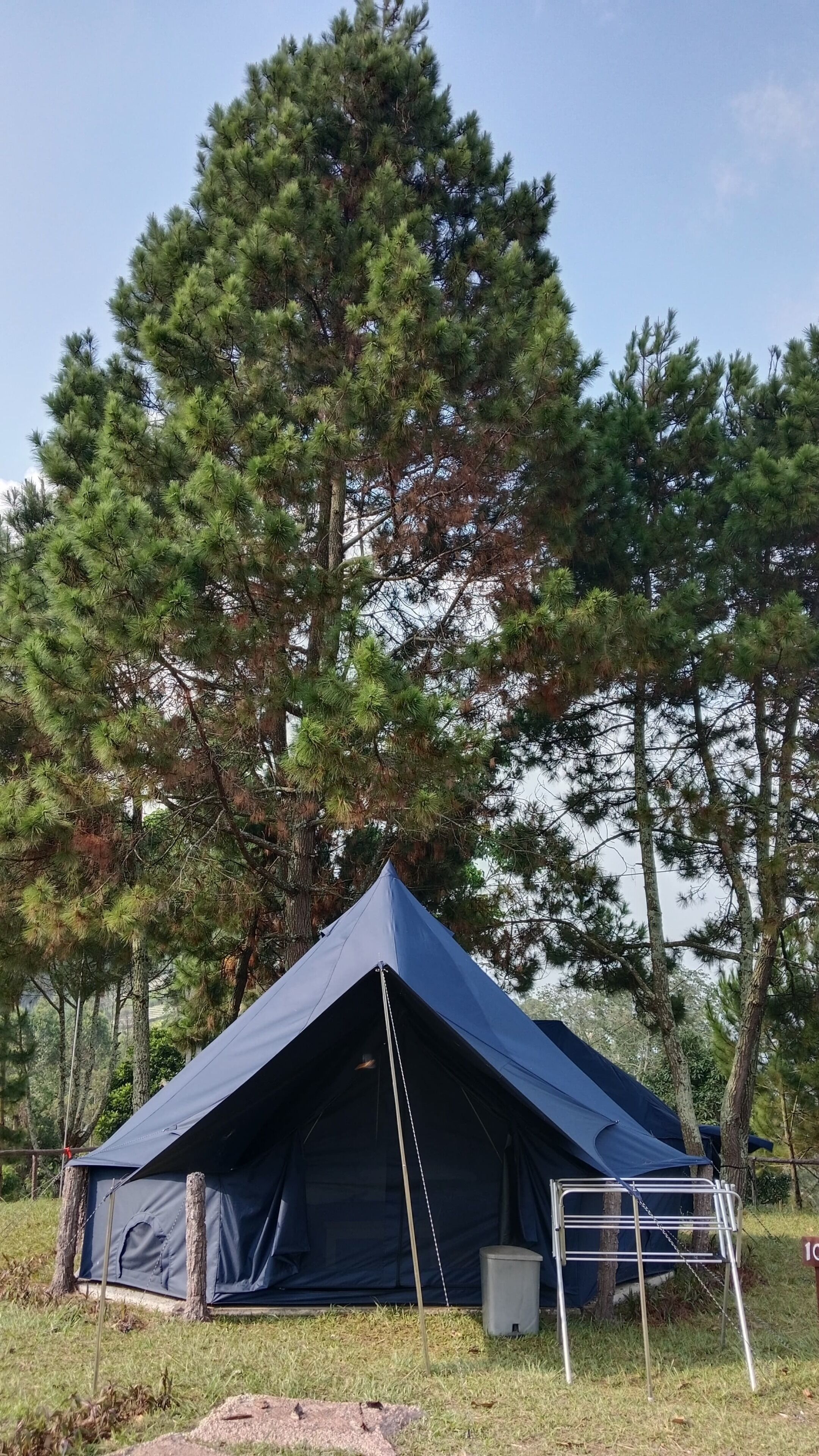 A blue tent set up in a grassy area with trees in the background.