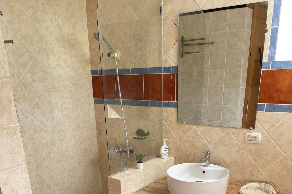 A bathroom with a shower, sink, toilet, and a mirror.