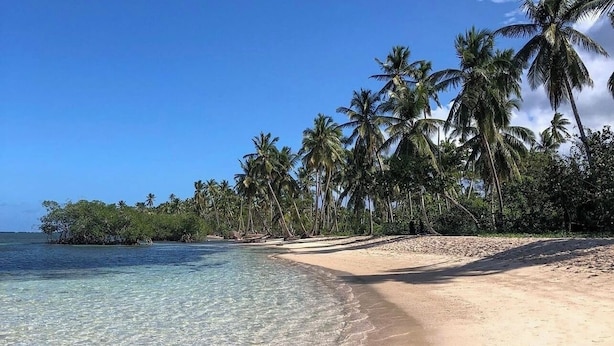A beach with clear turquoise water, sandy shore, and palm trees. - BonitaVillageLasTerrenas 4Beds8Pax (Las Terrenas)