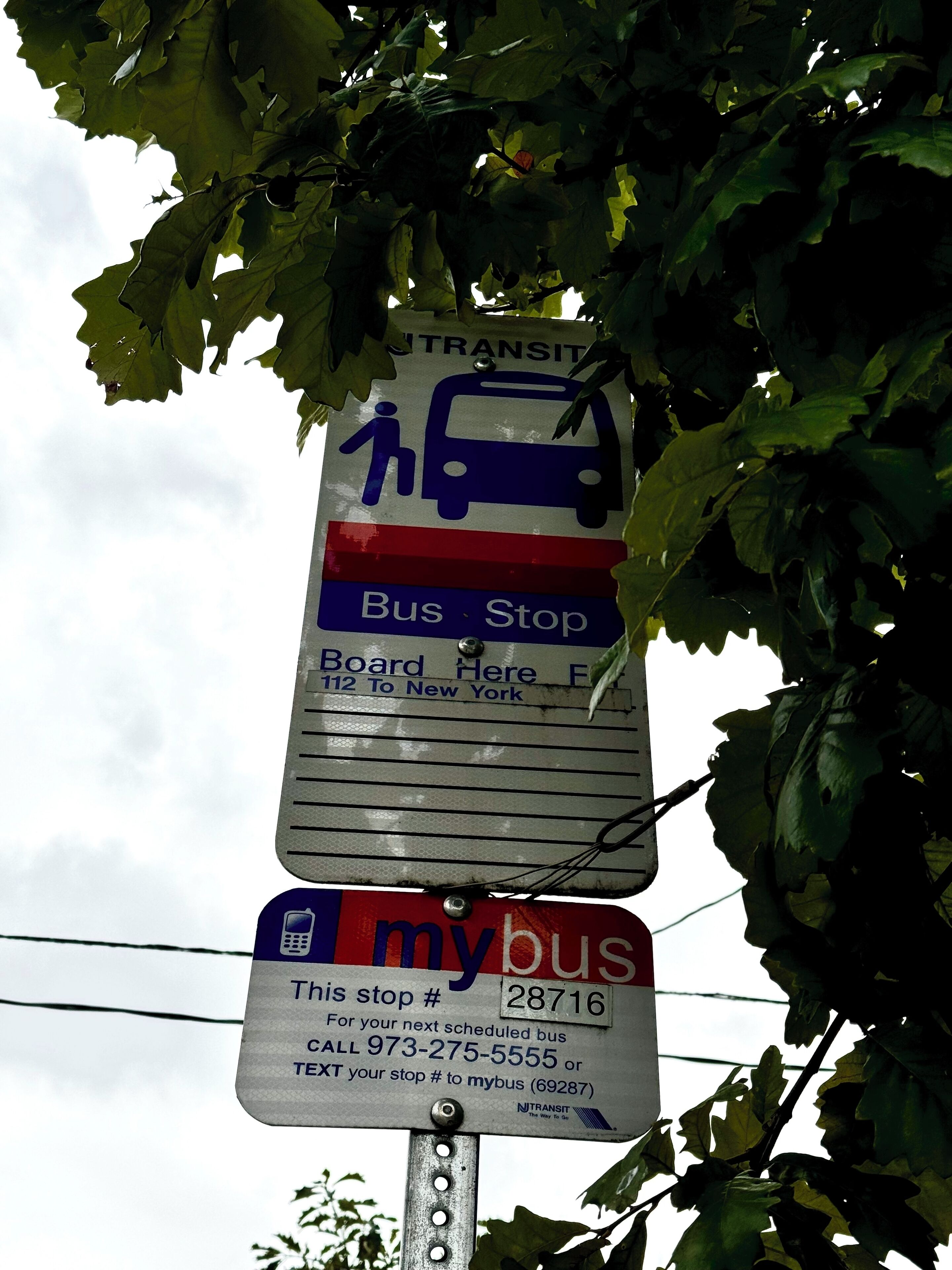 Segnaletica di fermata autobus con simbolo dell'autobus, simbolo del pedone e numero di linea.