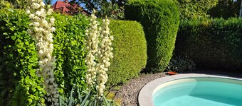 Apartment 'Ferienwohnung Bleichen 14' with Shared Pool, Shared Garden and Wi-Fi