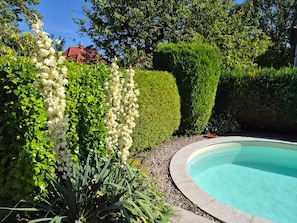Pool - Apartment 'Ferienwohnung Bleichen' with Private Pool, Shared Garden and Wi-Fi (Stralsund)