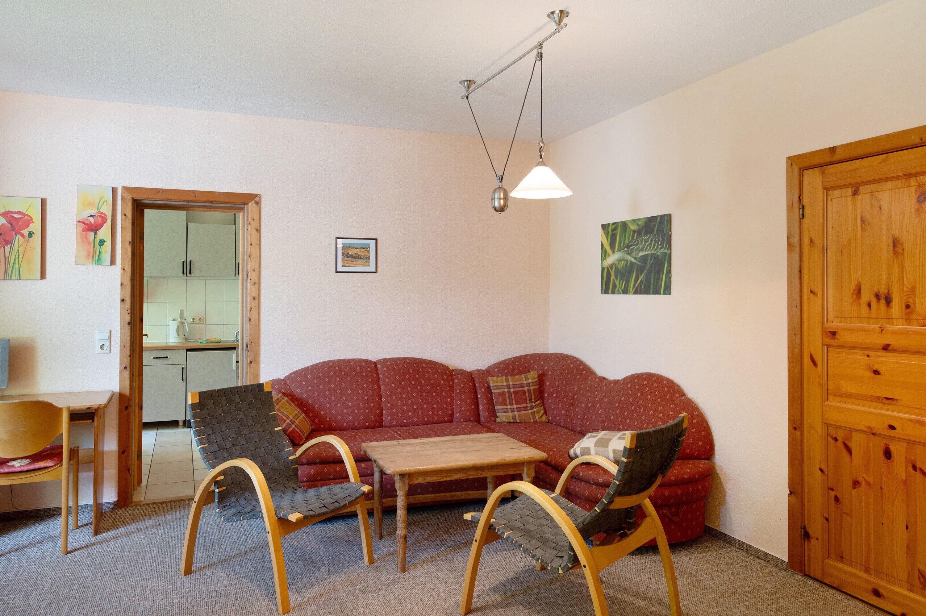 TV, table tennis, stereo