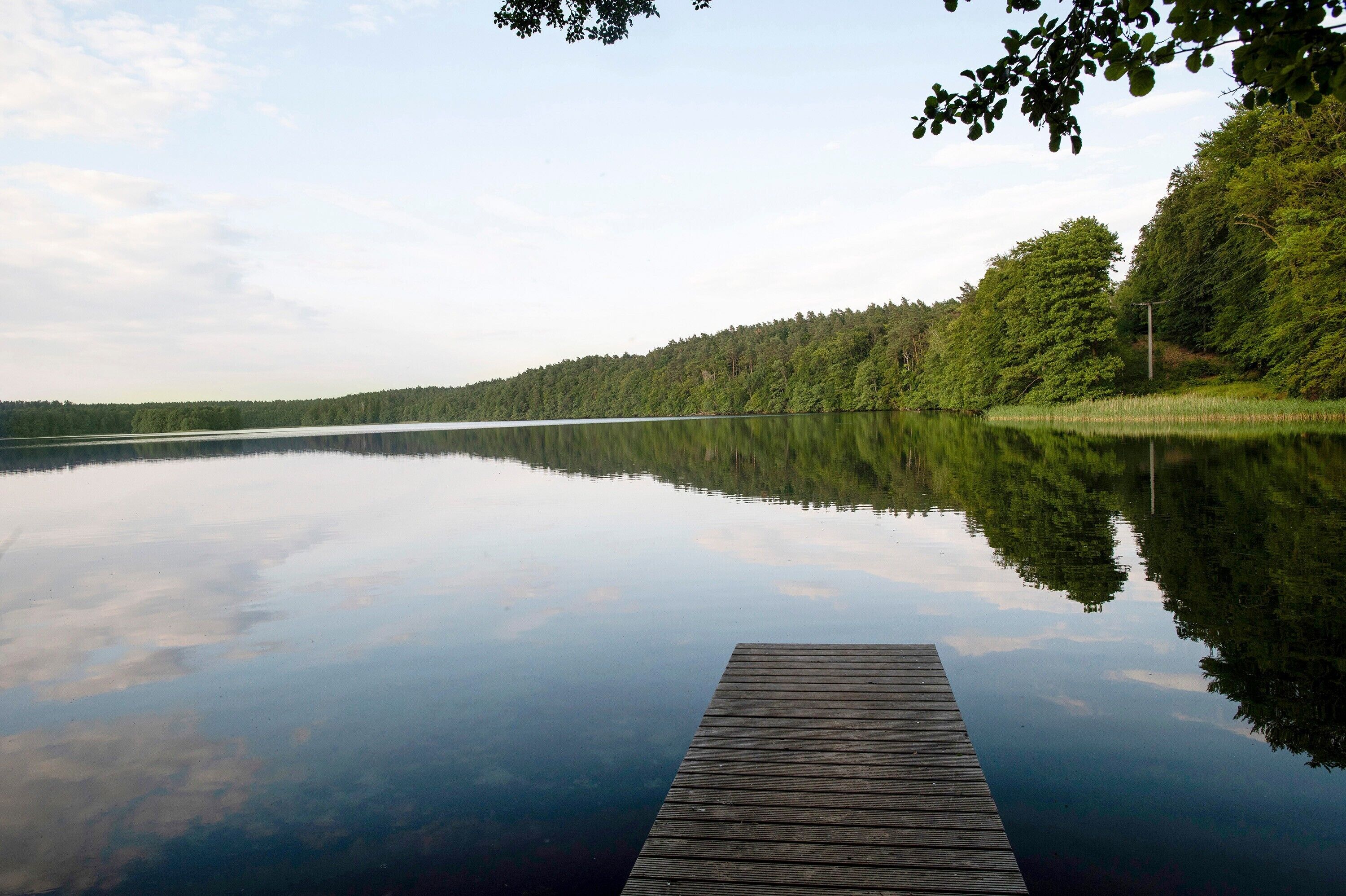 Tyyni järvi, jonka rannalla on puinen laituri, joka ulottuu veteen, ja järveä ympäröi tiheä metsä.