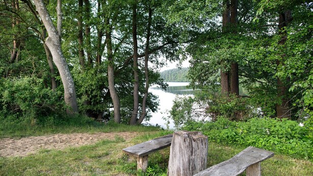 A natural setting with a lake, trees, and two wooden benches.