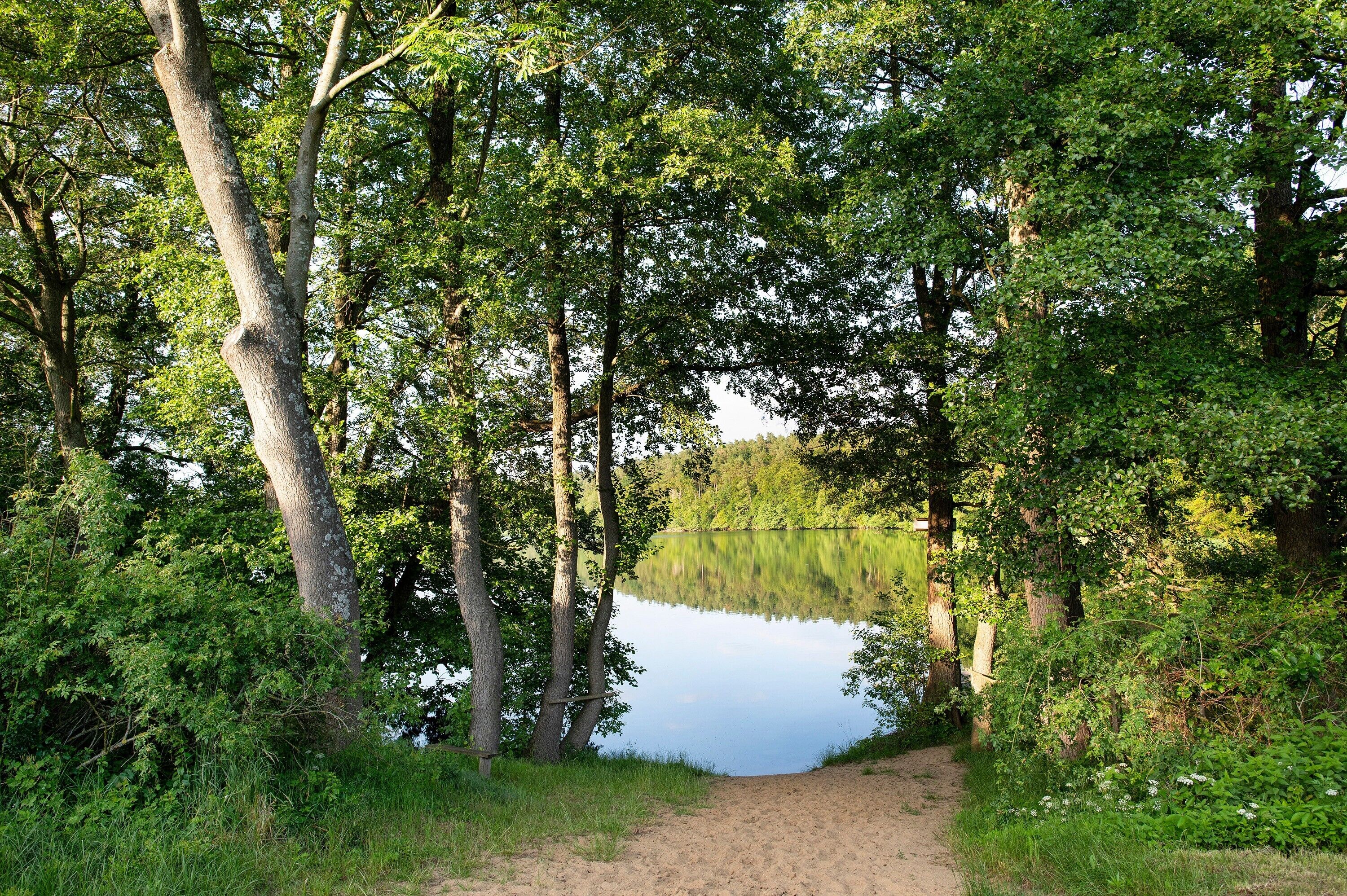 A natural landscape with a lake, trees, and a dirt path.