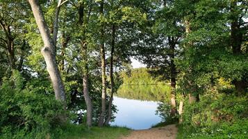 A natural landscape with a lake, trees, and a dirt path.