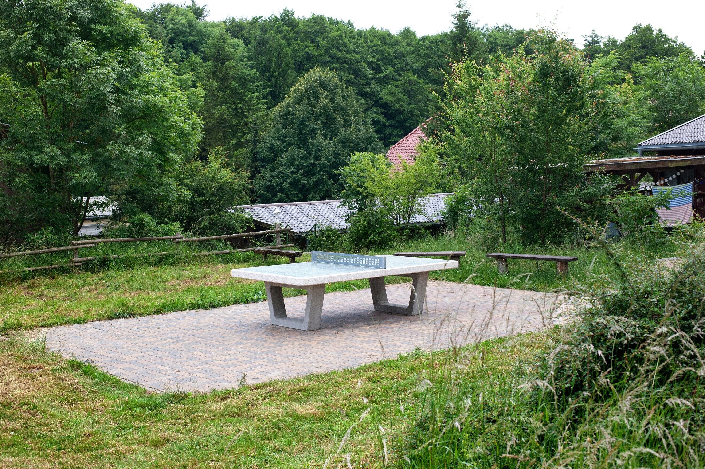 Ein Tischtennis-Tisch auf befestigtem Untergrund, umgeben von Grünflächen und Bäumen.