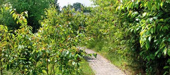 Holiday Home 'Ferienhaus Utkieck' with Private Terrace, Shared Garden and Wi-Fi