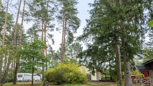 A forested campsite with a cabin, a covered RV, and a small shed.