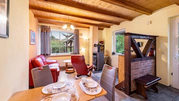 Fernseher, Kamin, Tischtennisplatte, Stereoanlage