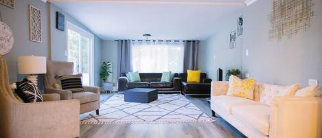 Smart TV, fireplace, books