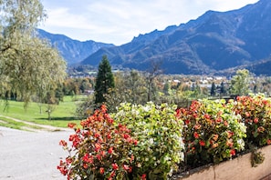 Un jardín con flores de colores, un sendero y montañas al fondo.
