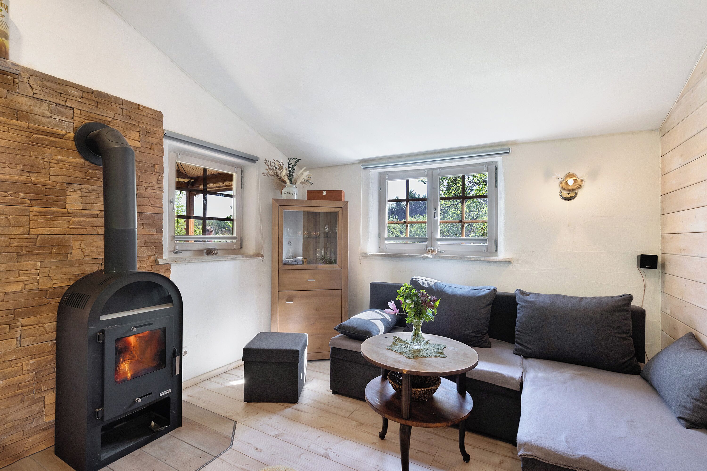 Fernseher, Kamin, DVD-Player, Tischtennisplatte