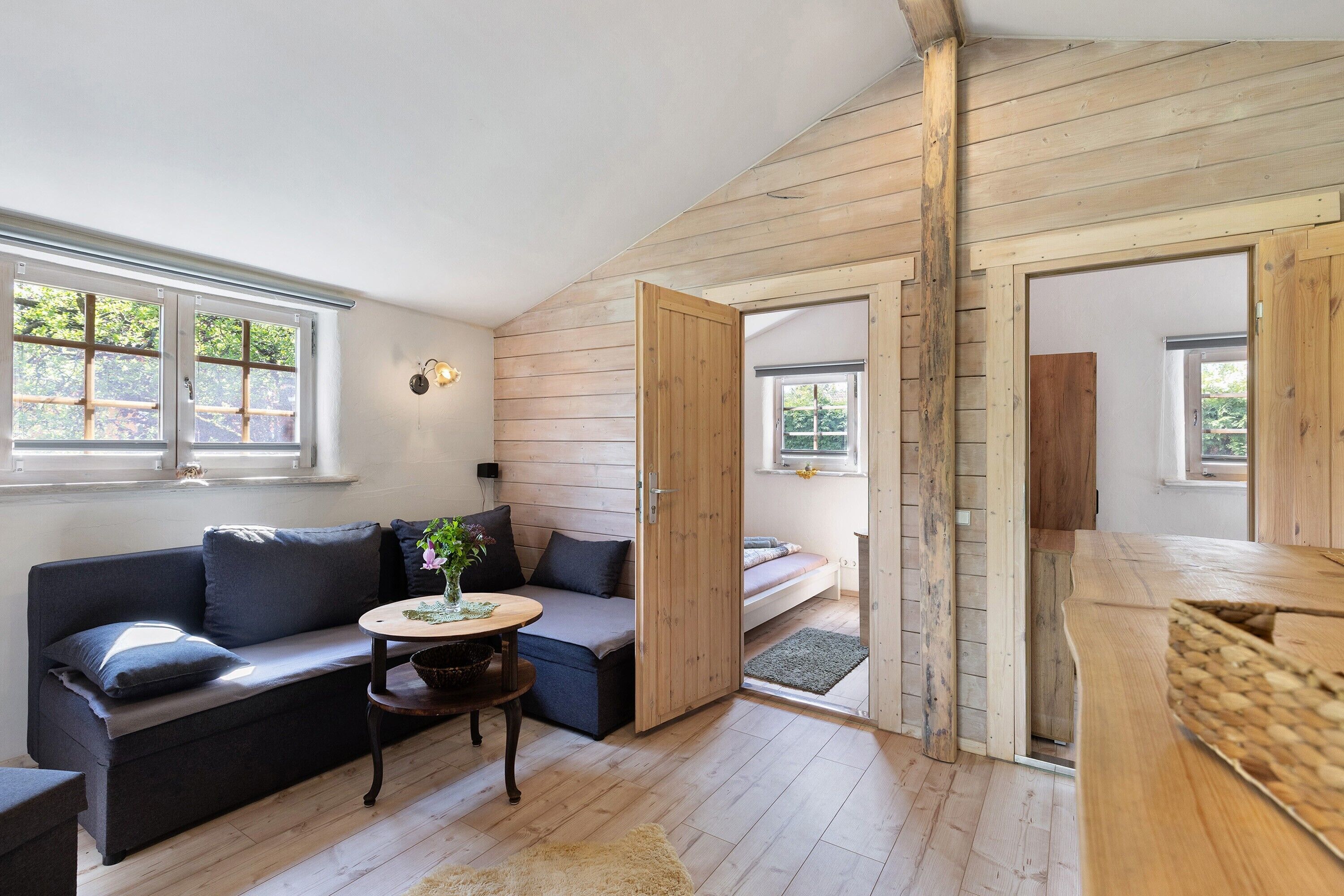 Televisión, chimenea, reproductor de DVD y tenis de mesa 