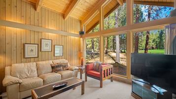 TV connectée, cheminée