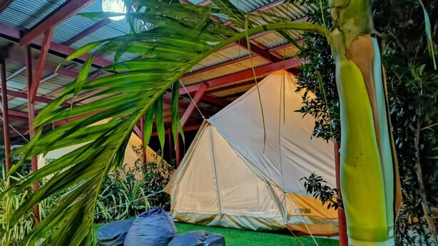 A tent set up on artificial grass with a stone border, surrounded by palm trees and other vegetation. - Glamping Alona (Panglao)