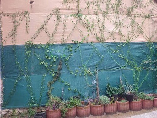 chalet familial avec cour arrière