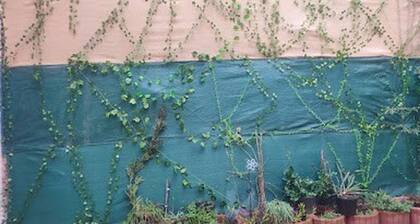 chalet familial avec cour arriĂšre