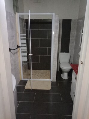 Regadera, secadora de cabello, toallas, papel de baño 