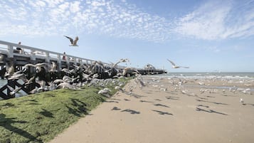 Vlak bij het strand