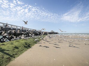 Beach nearby - Centrally located "Relax and Reset" by Interhome (Blankenberge)