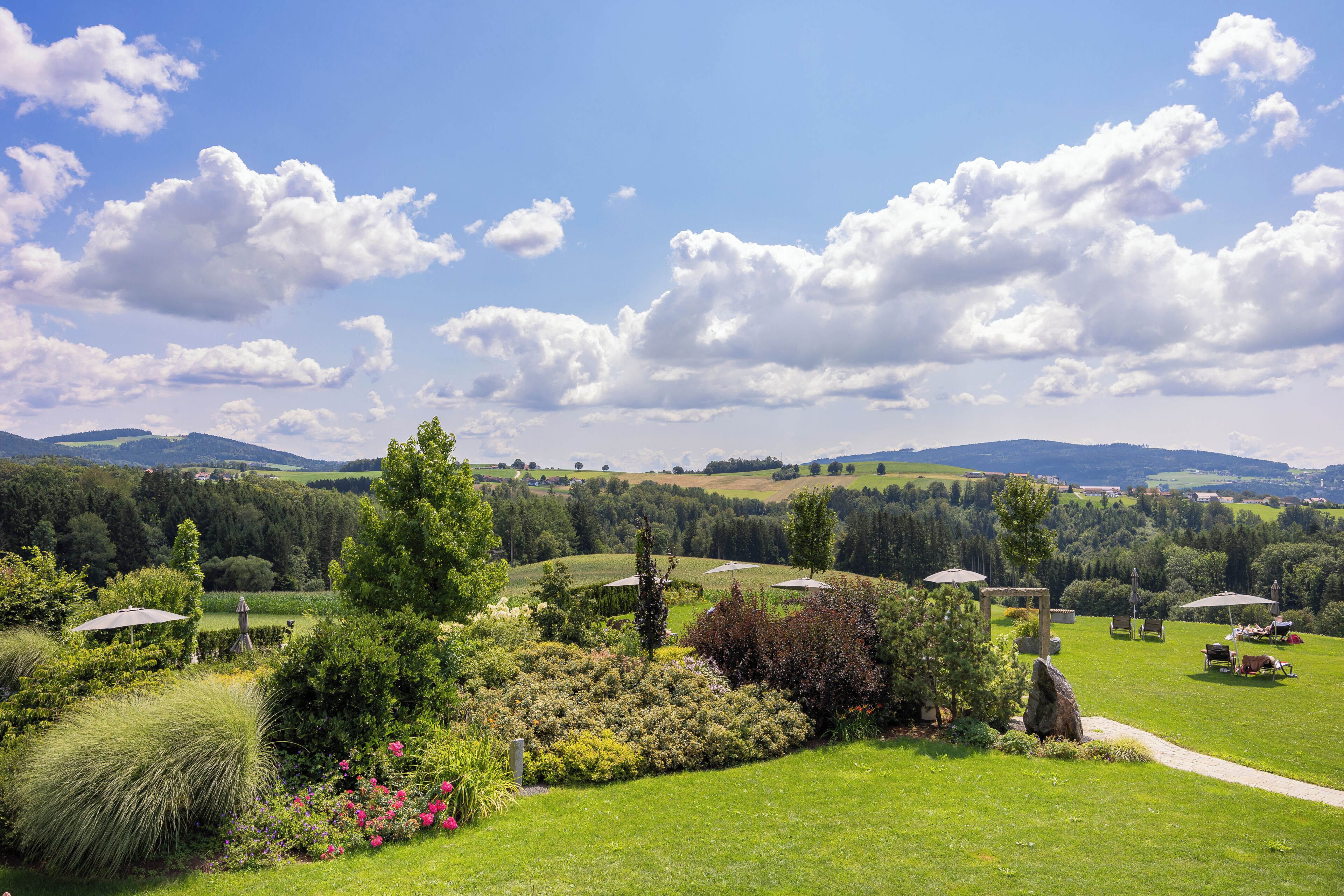 Un paisaje verde y exuberante con colinas ondulantes, un cielo azul despejado y algunas nubes dispersas.