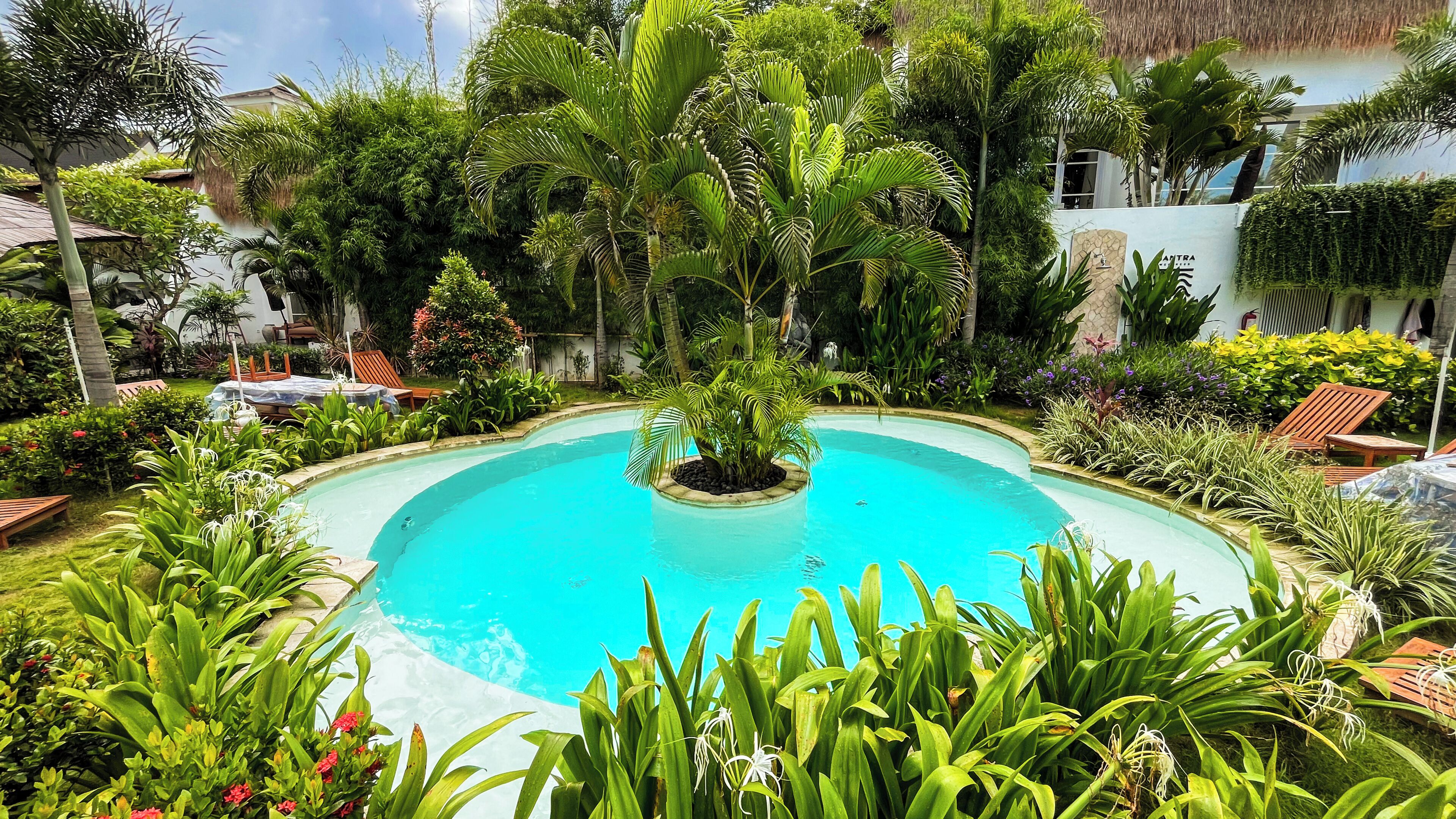 Outdoor pool, pool umbrellas, sun loungers