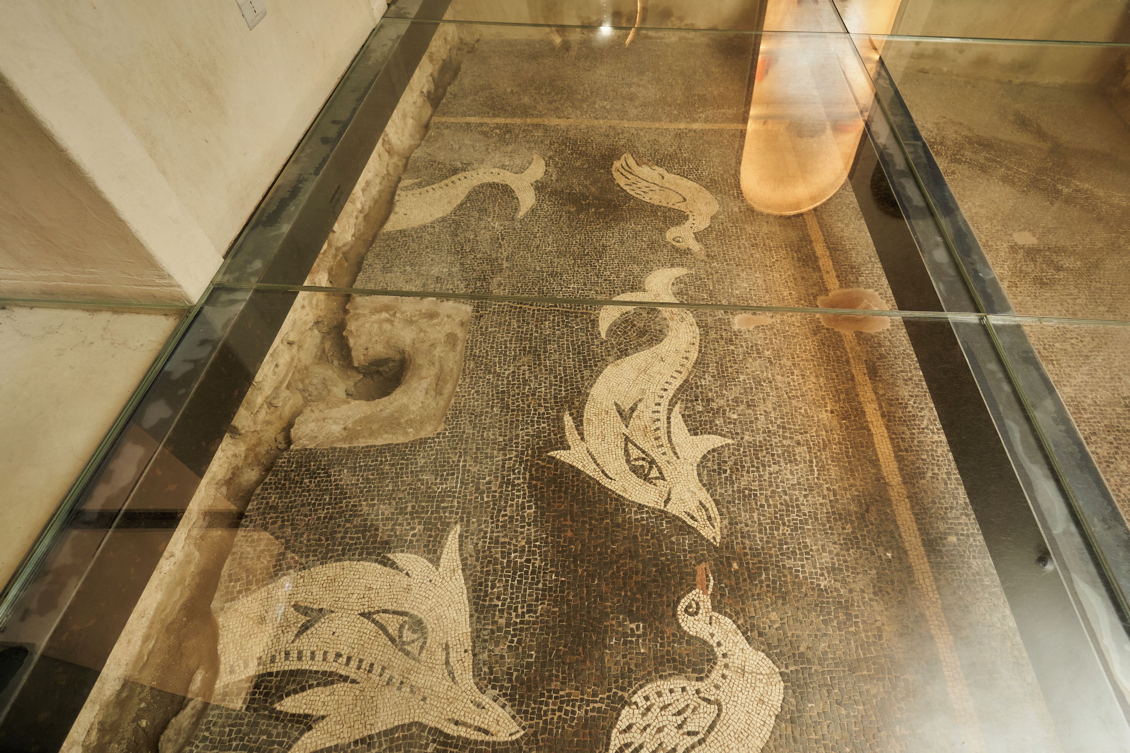 A mosaic floor with ancient animal designs.