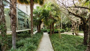 A pathway flanked by lush greenery and palm trees, leading to a building with large glass windows. - SUGAR ROOMS Residenza d' Epoca (Arezzo)