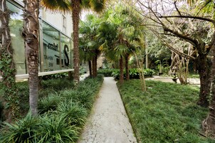 Un sendero bordeado por abundante vegetación y palmeras, que conduce a un edificio con amplias ventanas de vidrio.