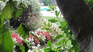 A garden with various plants and a tree trunk. - Il Parco (Montorfano)