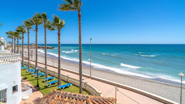 A beach view with palm trees, a tiled roof, and a row of blue lounge chairs.