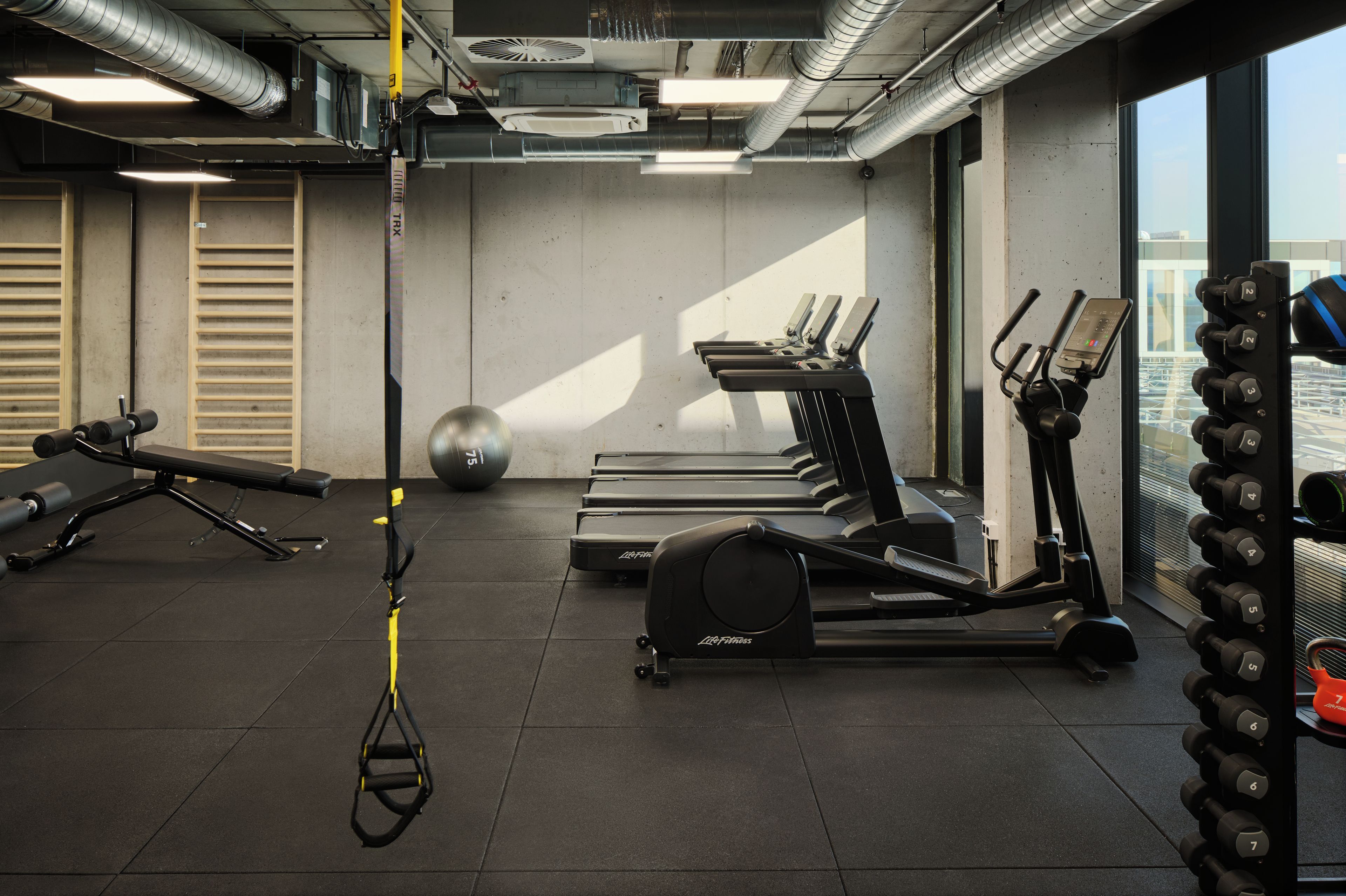 Un gimnasio con cintas de correr, elípticas, una bicicleta estática, una máquina de remo y un juego de mancuernas.