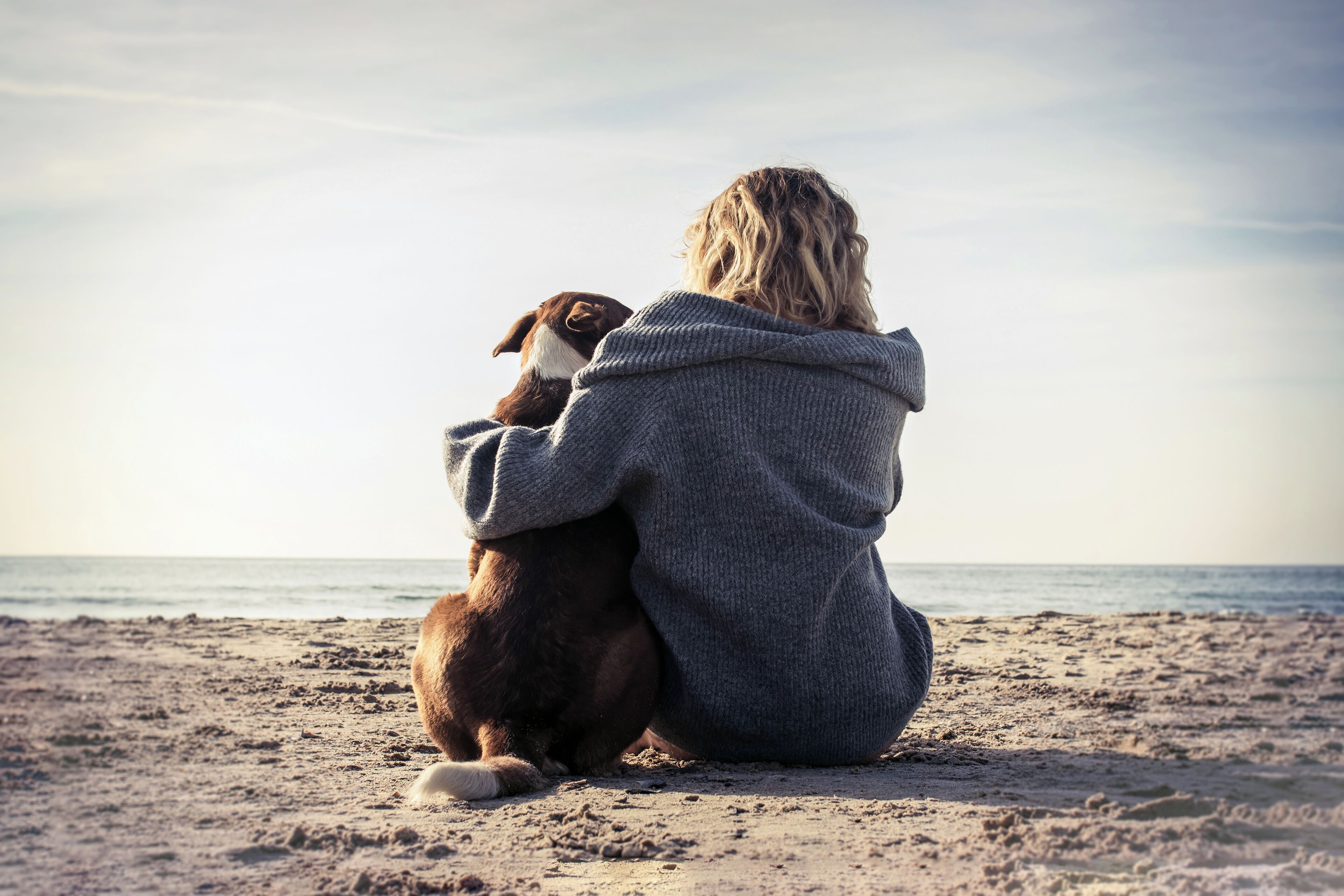 A person sitting on a beach with a dog.