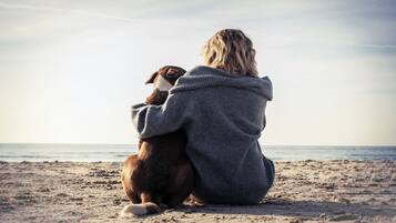 A person sitting on a beach with a dog.