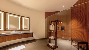 A modern bathroom with a large mirror, a wooden vanity, and a glass shower enclosure. - Ananta Spa & Resort Ajabgarh (Thanagazi)