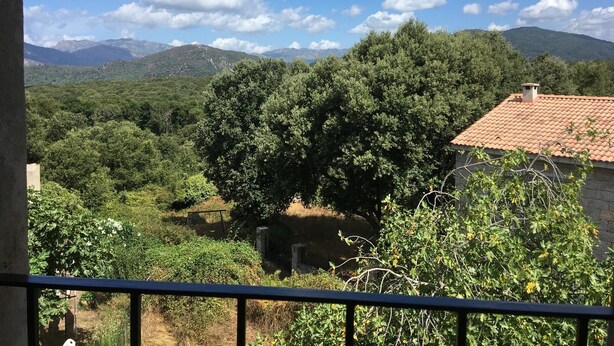 Ein Blick auf eine gebirgige Landschaft mit einem großen Baum und einem Gebäude mit roten Ziegeln.