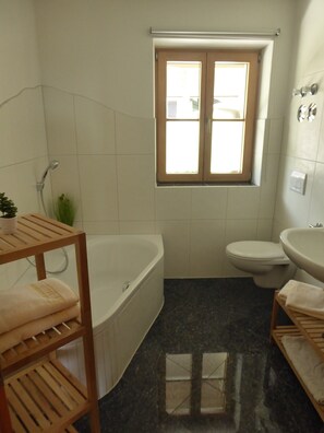 Dusche, Haartrockner, Handtücher