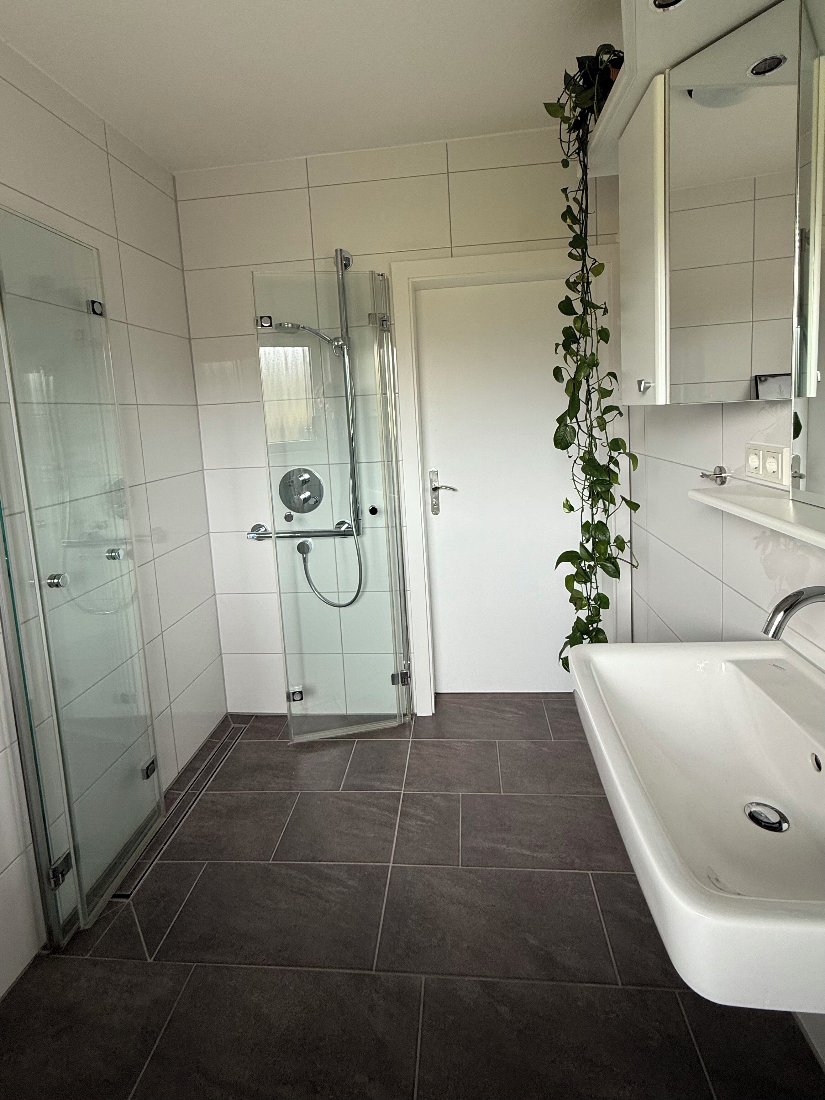 Een douche, een haardroger, handdoeken