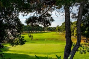 A golf course with a flagstick in the center, surrounded by trees and a clear sky.